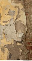 Walls Plaster 0052